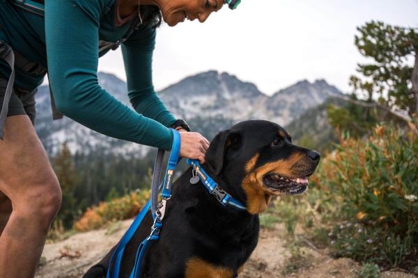 Ruffwear Web Reaction Collar Blue Pool Gr. 36-43 cm Ruffwear Web Reaction Collar Blue Pool Gr. 36-43 cm